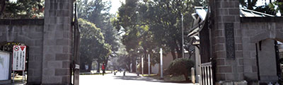 入学案内